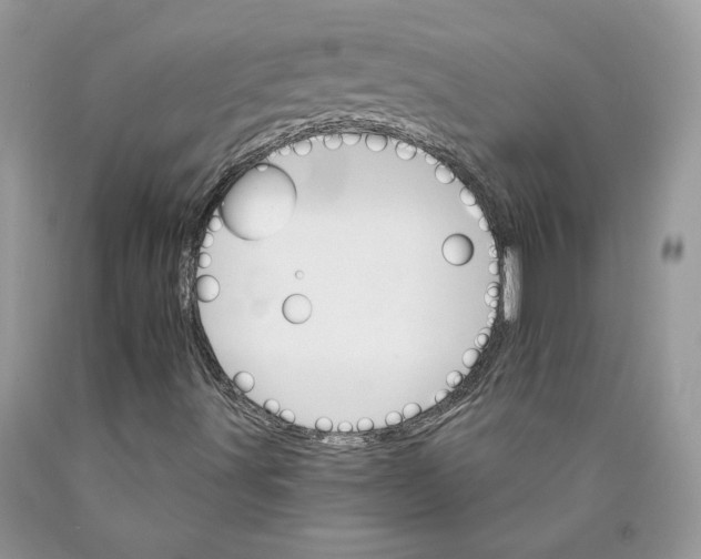 X0000089941491200707271807