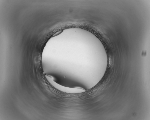 X0000089941492200707271807