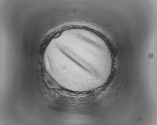 X0000089941494200707271807