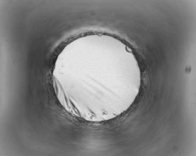 X0000089941495200707271807