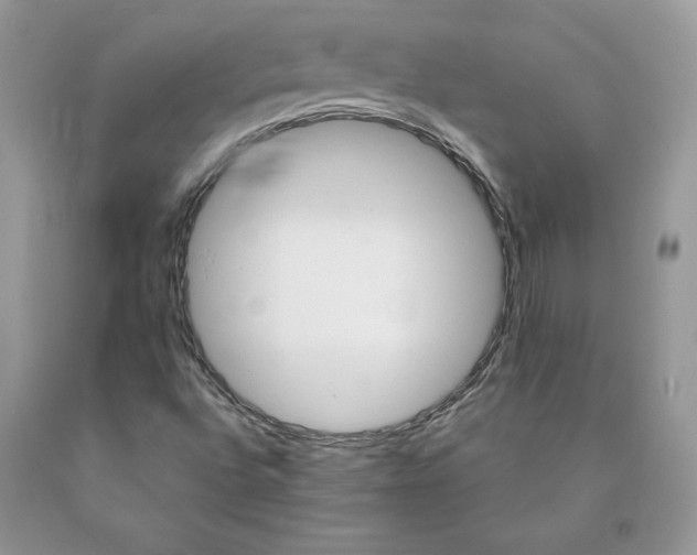 X0000089941496200707271807