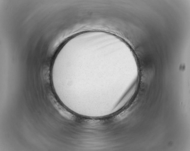 X0000089941499200707271807