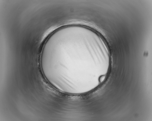 X0000089941501200707271807