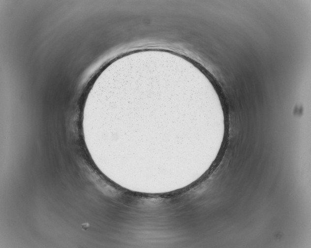 X0000089941502200707271807