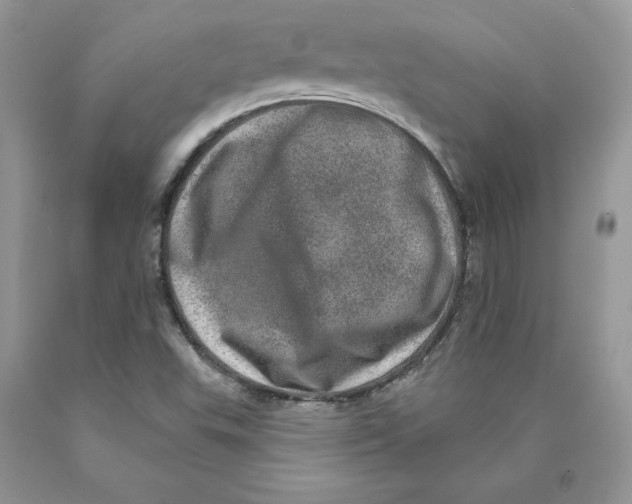 X0000089941503200707271807