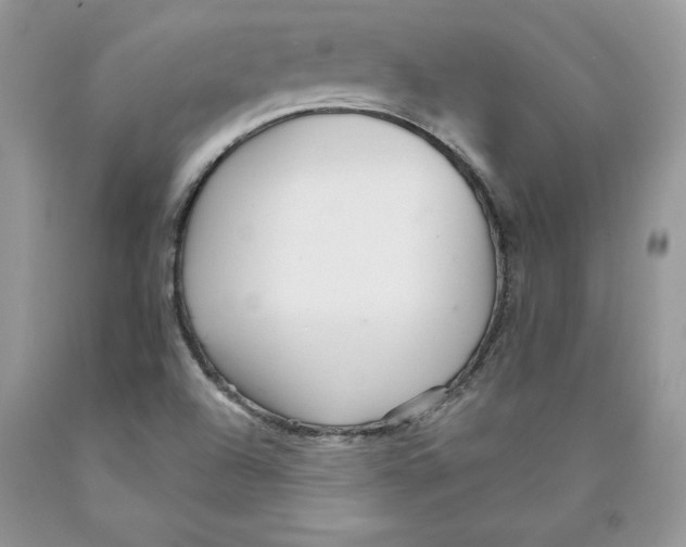X0000089941504200707271807