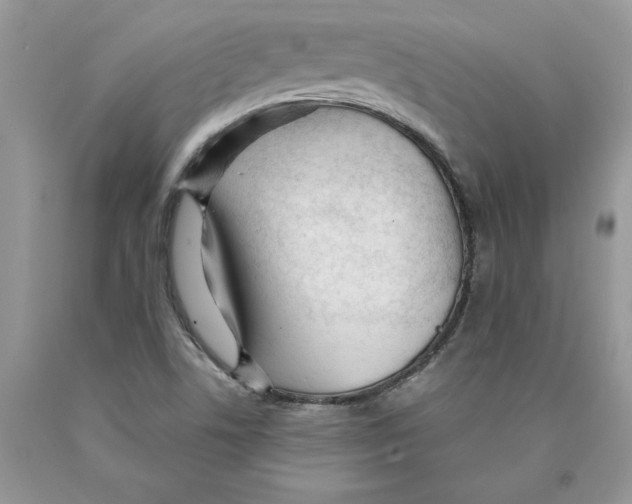 X0000089941506200707271807