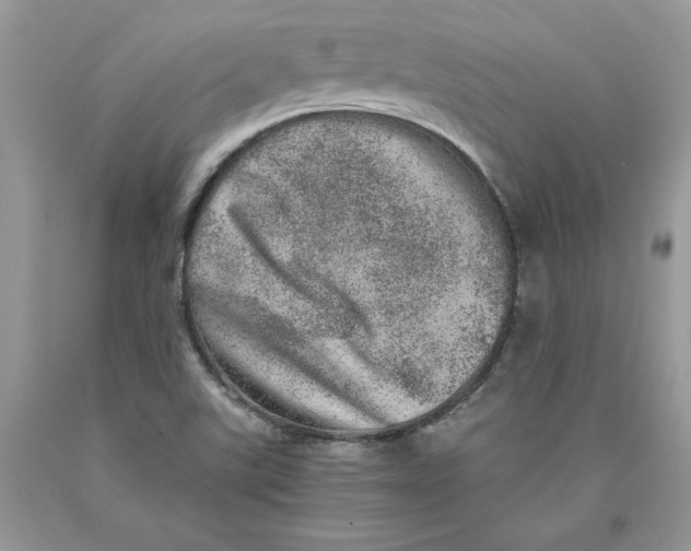 X0000089941507200707271807