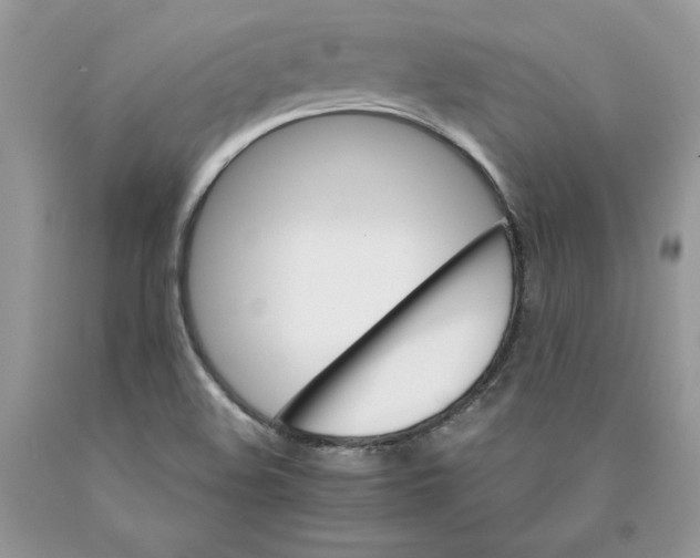 X0000089941508200707271807