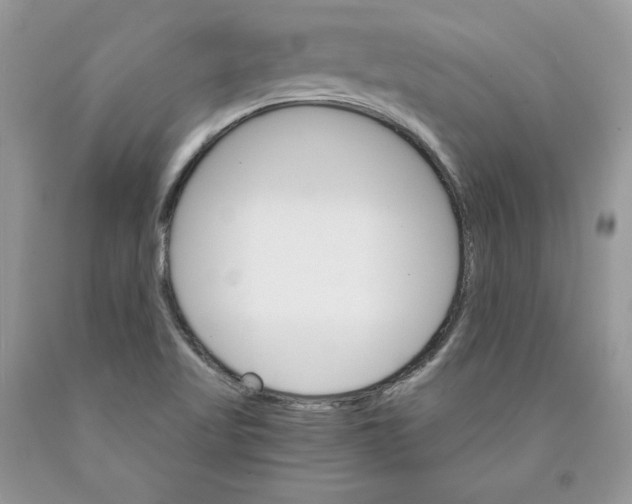 X0000089941509200707271807