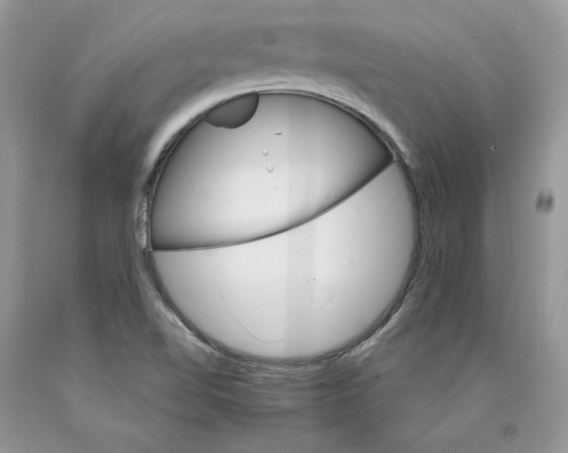 X0000089941510200707271807