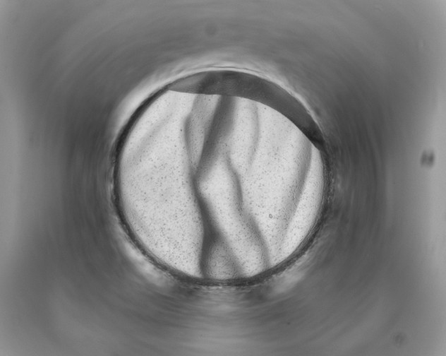 X0000089941511200707271807