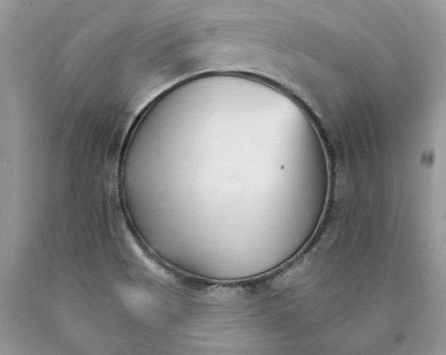 X0000089941513200707271807