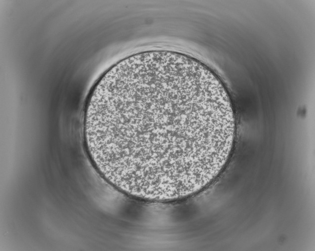 X0000089941514200707271808