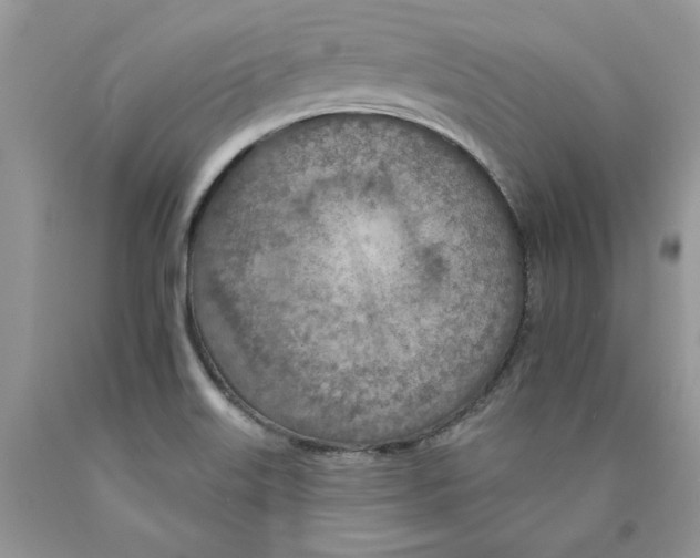 X0000089941515200707271808
