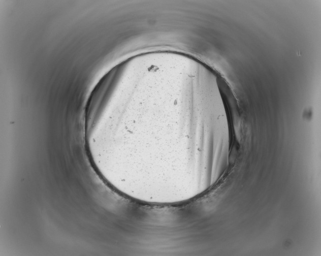 X0000089941516200707271808