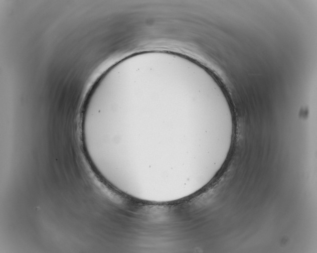 X0000089941517200707271808