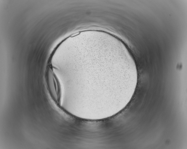X0000089941518200707271808