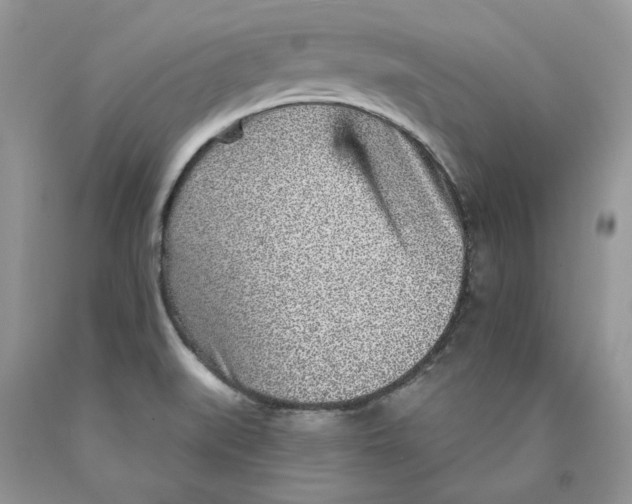 X0000089941519200707271808