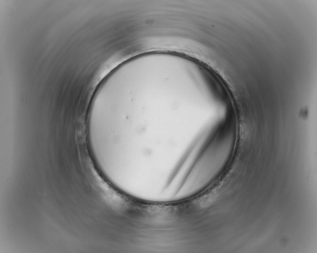 X0000089941521200707271808