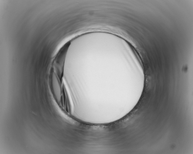 X0000089941523200707271808