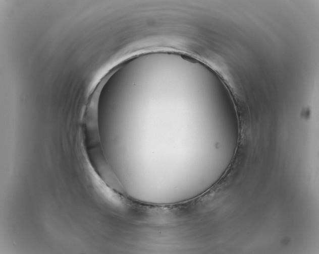 X0000089941524200707271808