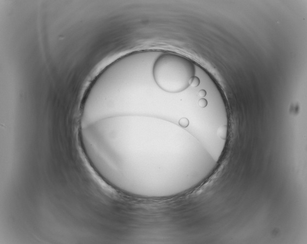 X0000089941525200707271808