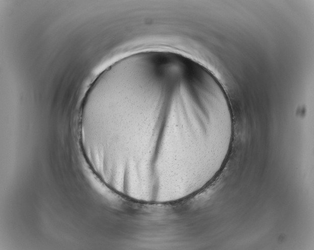 X0000089941526200707271808