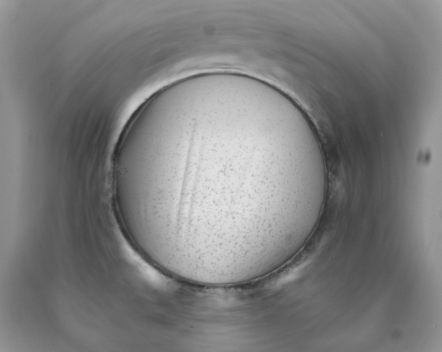 X0000089941527200707271808