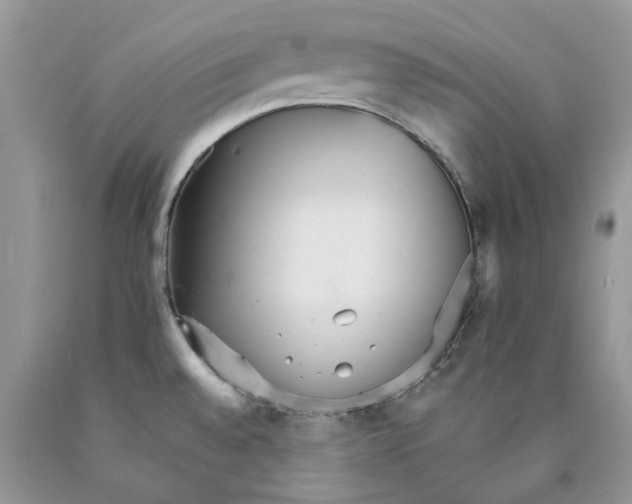 X0000089941528200707271808