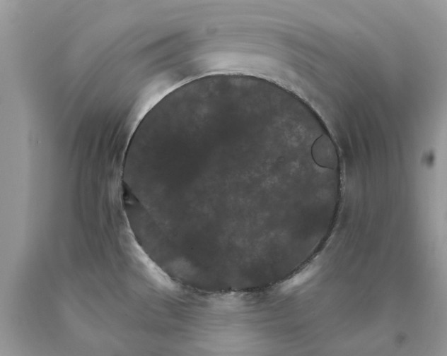 X0000089941529200707271808
