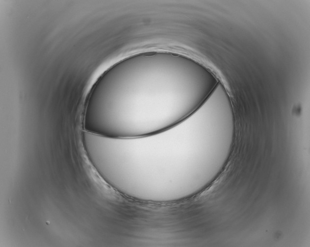 X0000089941530200707271808