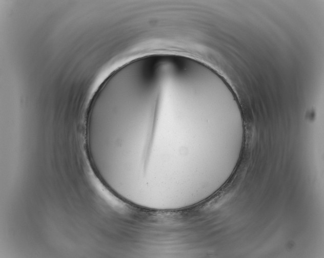 X0000089941531200707271808