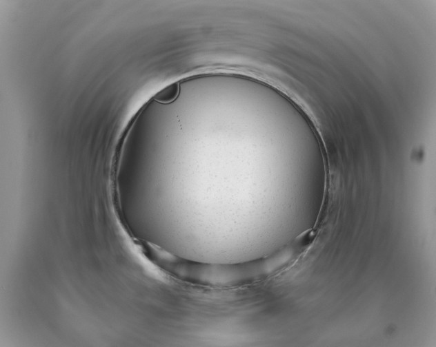 X0000089941533200707271808