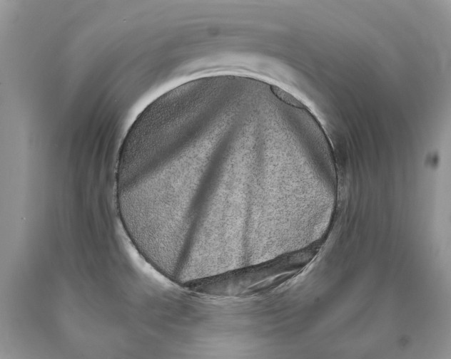 X0000089941534200707271808