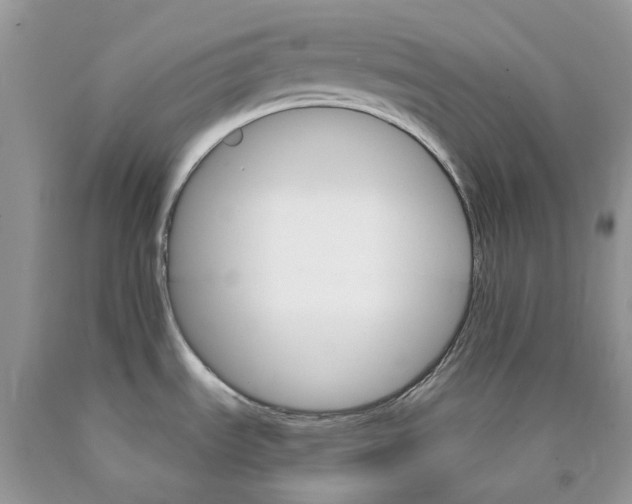 X0000089941535200707271808