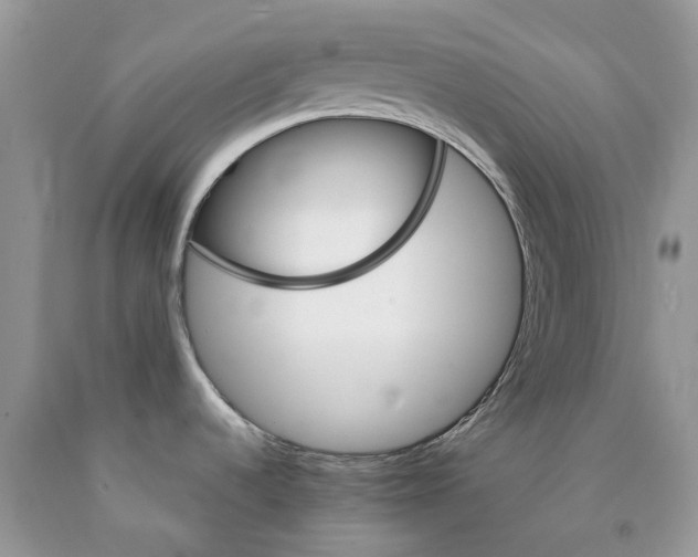 X0000089941536200707271808