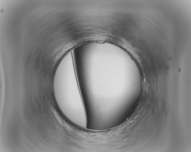 X0000089950013200706290847