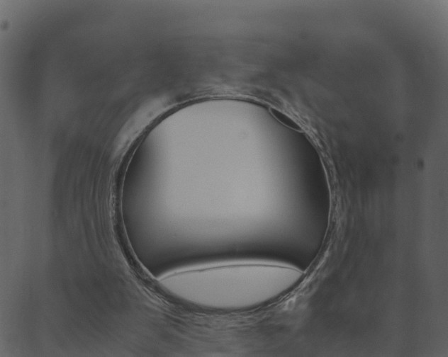 X0000089950103200706290845