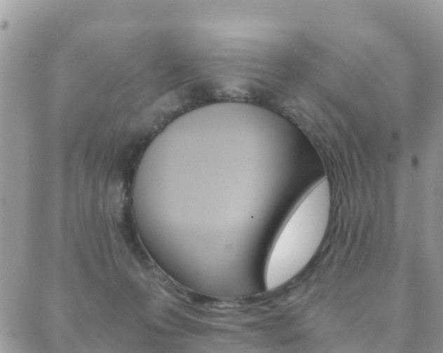 X0000089950223200706290843