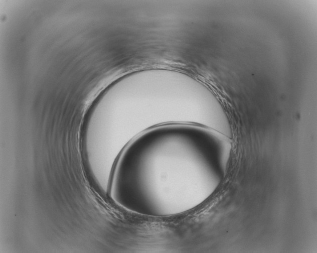 X0000089950244200706290842