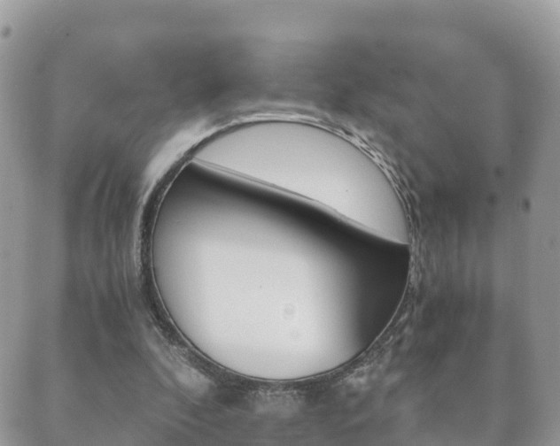 X0000089950296200706290842