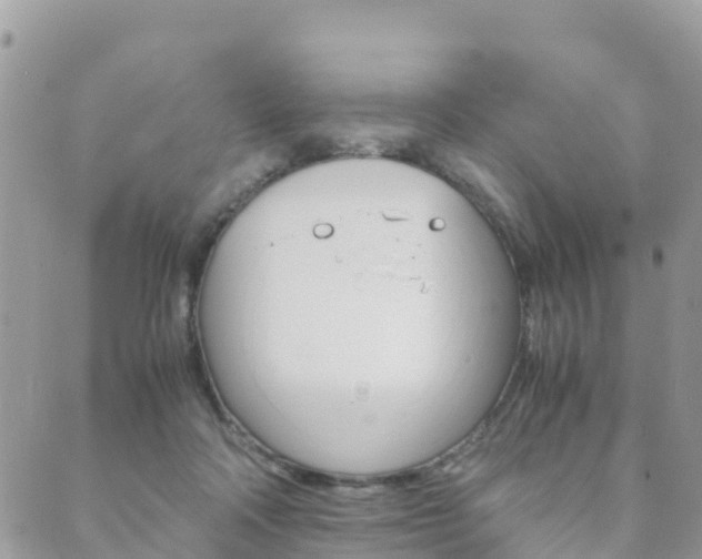 X0000089950314200706290842