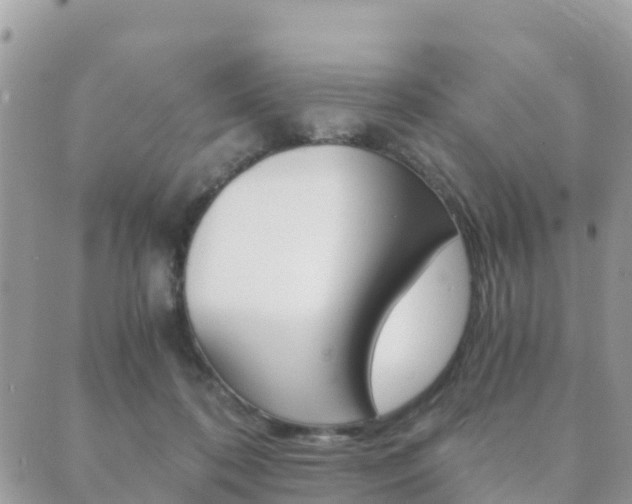 X0000089950316200706290842