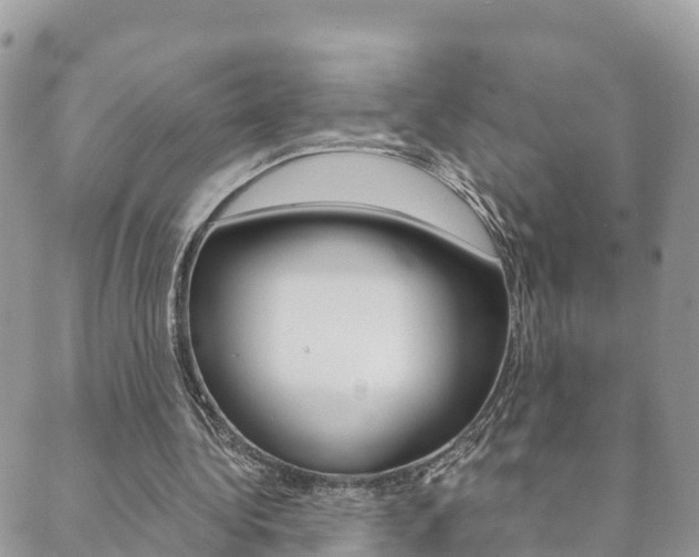 X0000089950340200706290841