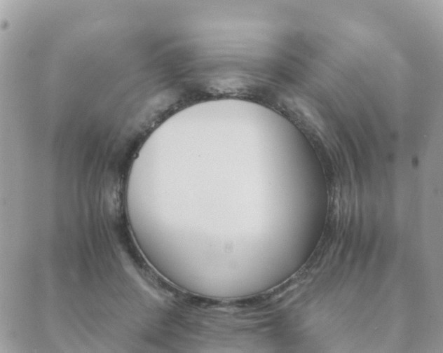 X0000089950408200706290840