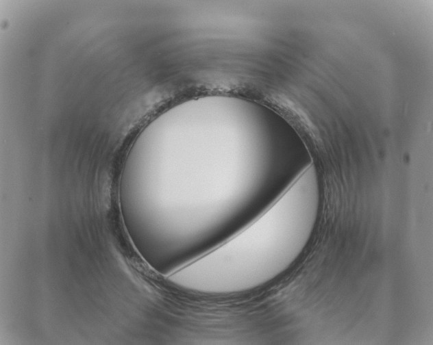 X0000089950496200706290839