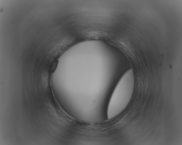 X0000089950504200706290839