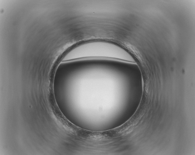 X0000089950540200706290838