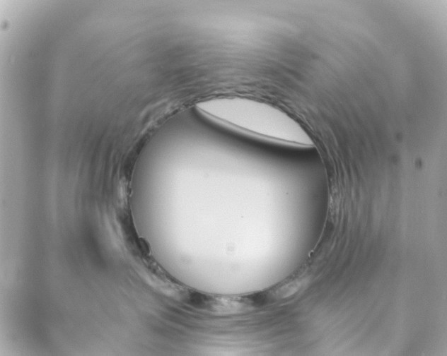 X0000089950623200706290837
